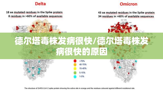 德尔塔毒株发病很快/德尔塔毒株发病很快的原因