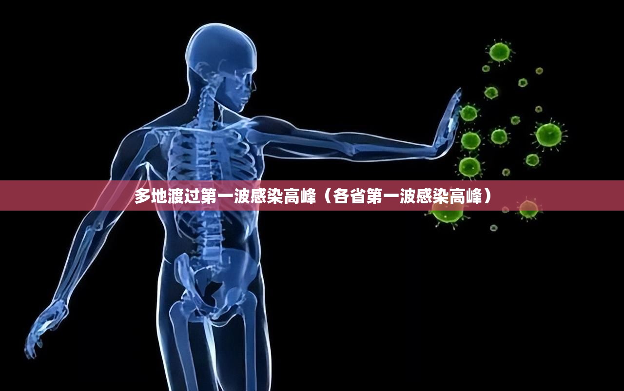 多地渡过第一波感染高峰(各省第一波感染高峰) 多地渡过第一波感染高峰(各省第一波感染高峰)