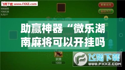助赢神器“微乐湖南麻将可以开挂吗”(透视挂)辅助透视教程