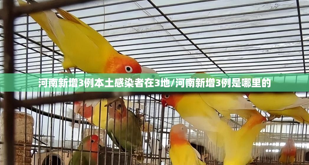 河南新增3例本土感染者在3地/河南新增3例是哪里的 河南新增3例本土感染者在3地/河南新增3例是哪里的