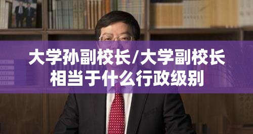 大学孙副校长/大学副校长相当于什么行政级别