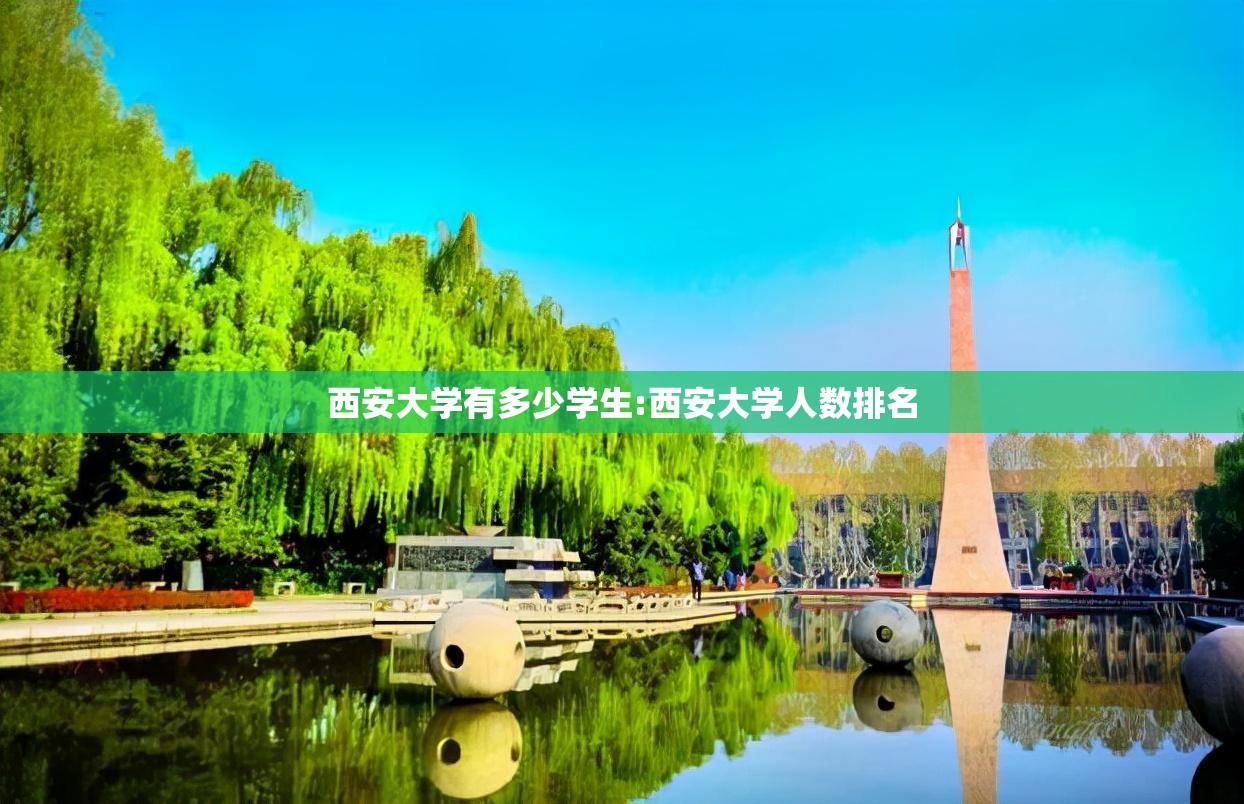 西安大学有多少学生:西安大学人数排名