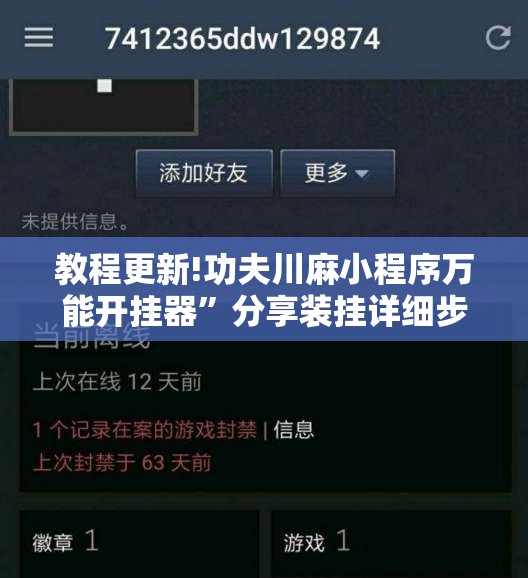 教程更新!功夫川麻小程序万能开挂器”分享装挂详细步骤