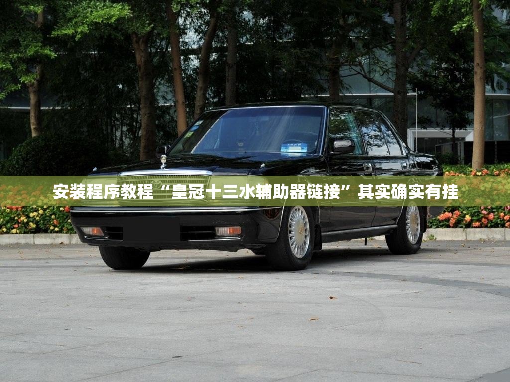 安装程序教程“皇冠十三水辅助器链接	”其实确实有挂