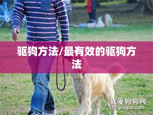 驱狗方法/最有效的驱狗方法