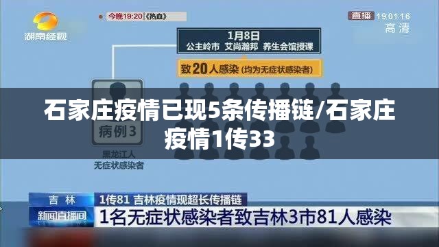 石家庄疫情已现5条传播链/石家庄疫情1传33