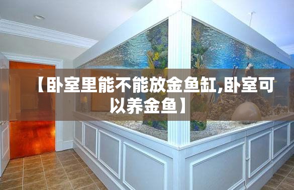 【卧室里能不能放金鱼缸,卧室可以养金鱼】