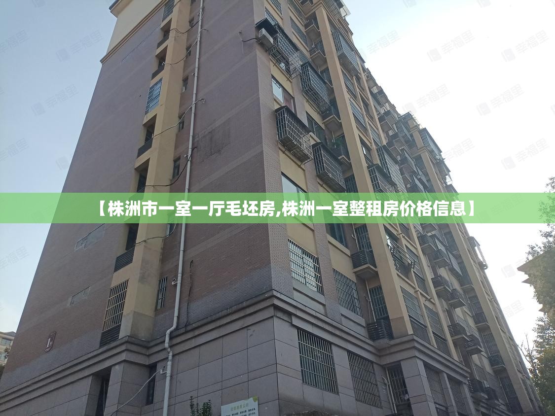 【株洲市一室一厅毛坯房,株洲一室整租房价格信息】
