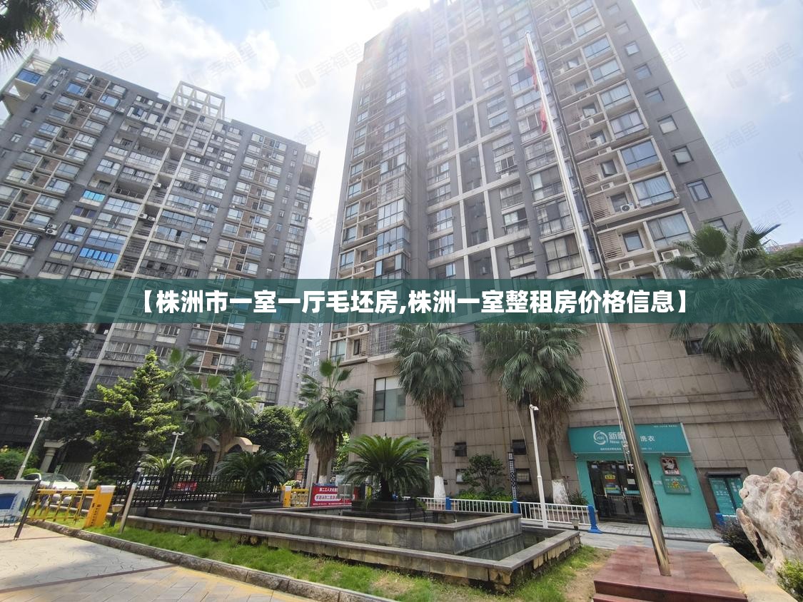 【株洲市一室一厅毛坯房,株洲一室整租房价格信息】