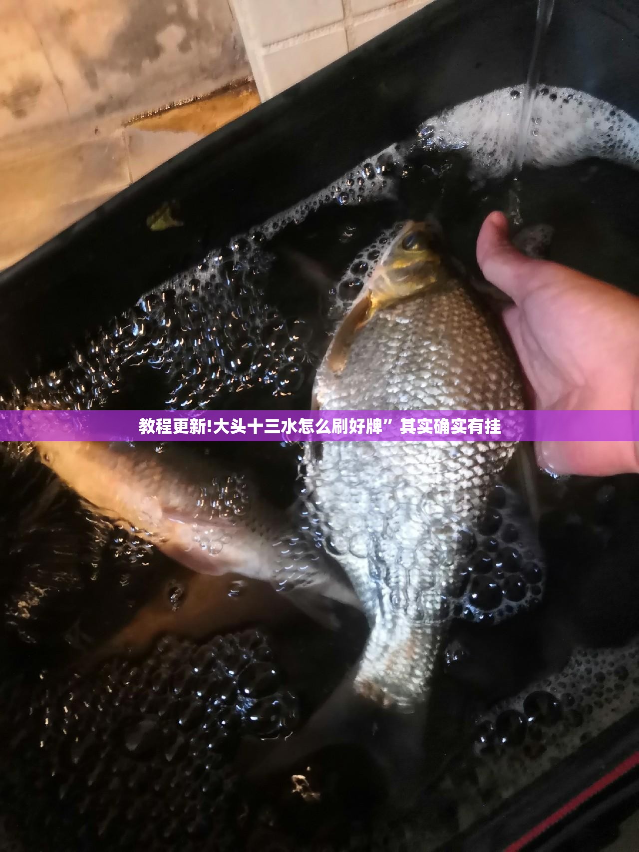 教程更新!大头十三水怎么刷好牌”其实确实有挂