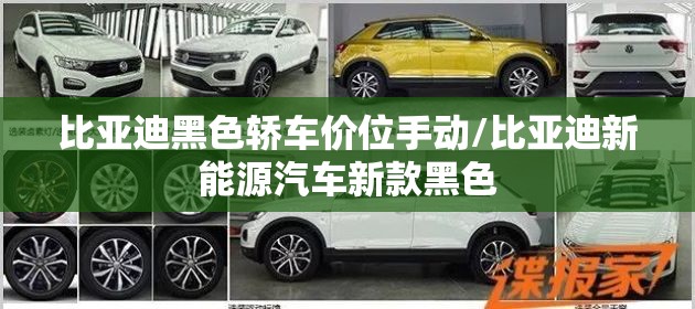 比亚迪黑色轿车价位手动/比亚迪新能源汽车新款黑色 比亚迪黑色轿车价位手动/比亚迪新能源汽车新款黑色