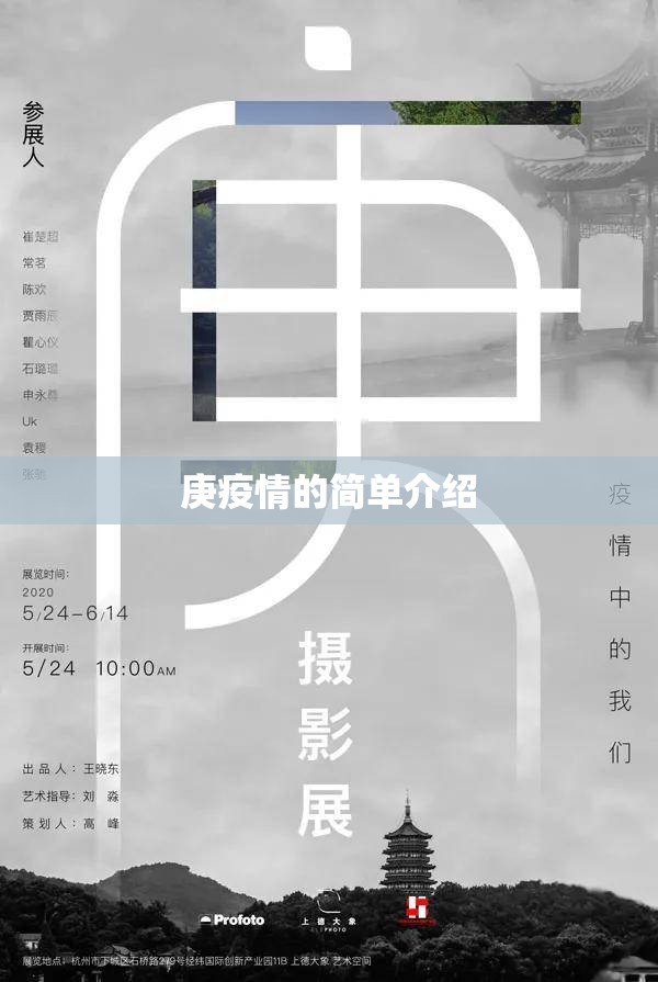 庚疫情的简单介绍 庚疫情的简单介绍