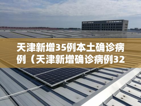 天津新增35例本土确诊病例（天津新增确诊病例323例）