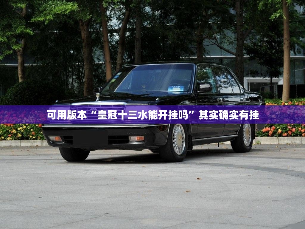 可用版本“皇冠十三水能开挂吗”其实确实有挂