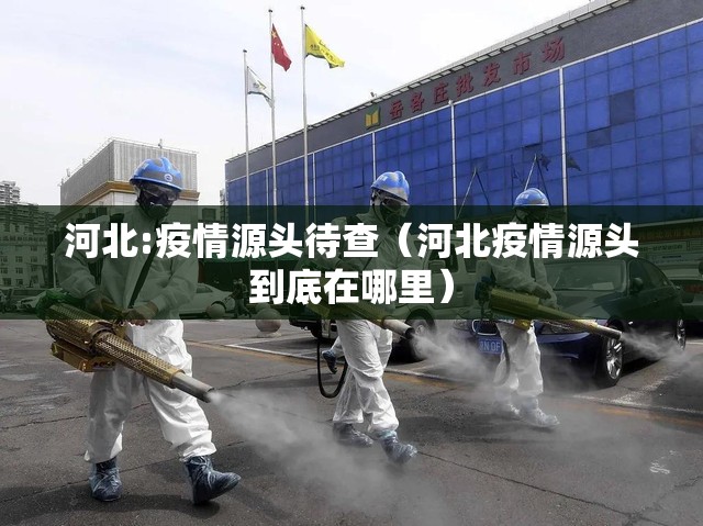 河北:疫情源头待查(河北疫情源头到底在哪里) 河北:疫情源头待查(河北疫情源头到底在哪里)