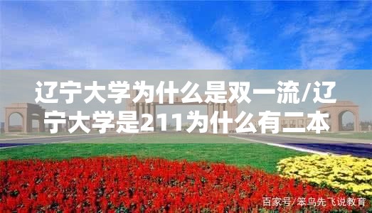 辽宁大学为什么是双一流/辽宁大学是211为什么有二本招生