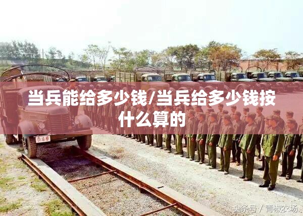 当兵能给多少钱/当兵给多少钱按什么算的 当兵能给多少钱/当兵给多少钱按什么算的