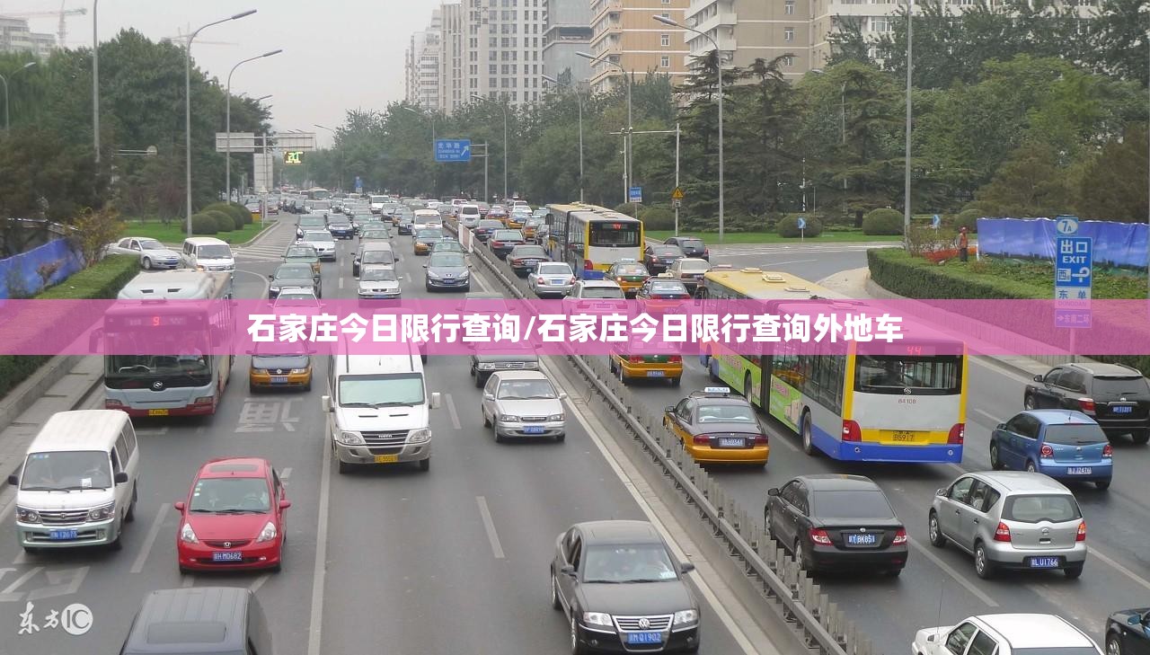 石家庄今日限行查询/石家庄今日限行查询外地车