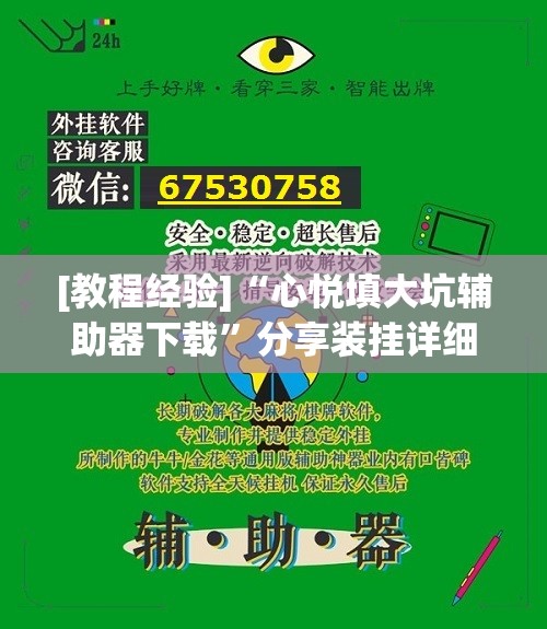 [教程经验]“心悦填大坑辅助器下载”分享装挂详细步骤