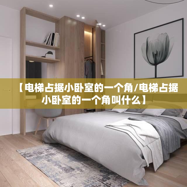 【电梯占据小卧室的一个角/电梯占据小卧室的一个角叫什么】