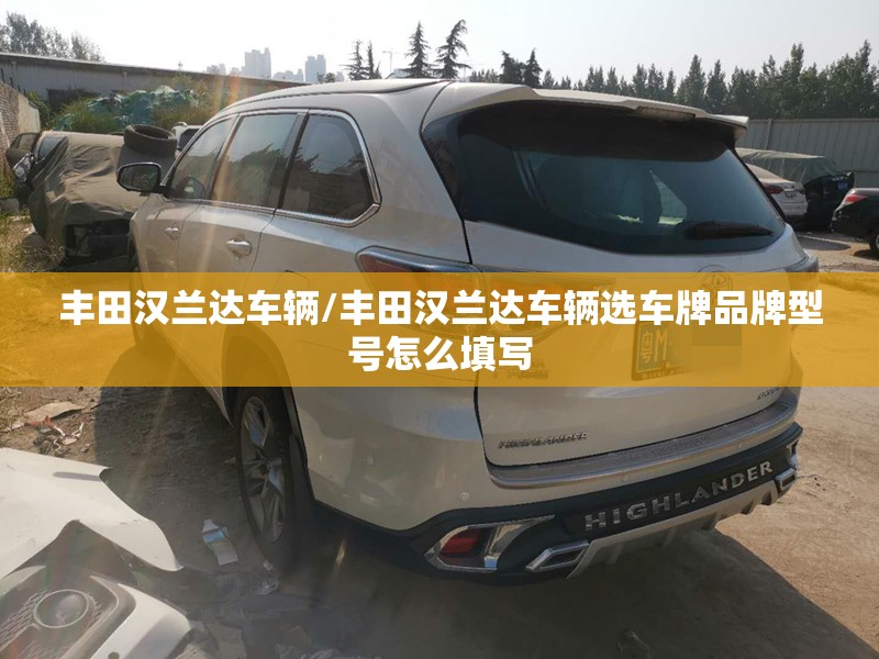 丰田汉兰达车辆/丰田汉兰达车辆选车牌品牌型号怎么填写