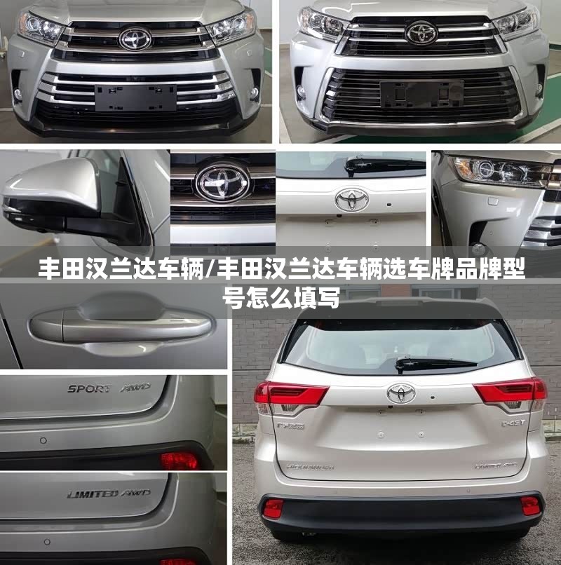 丰田汉兰达车辆/丰田汉兰达车辆选车牌品牌型号怎么填写