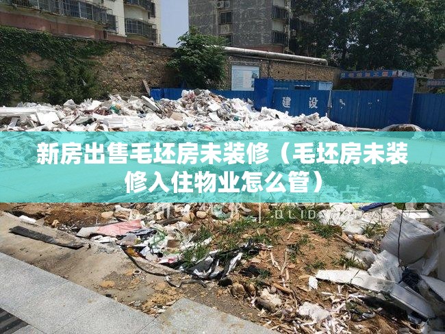 新房出售毛坯房未装修（毛坯房未装修入住物业怎么管）