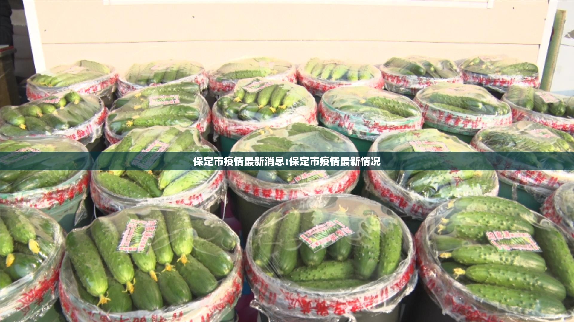 保定市疫情最新消息:保定市疫情最新情况 保定市疫情最新消息:保定市疫情最新情况