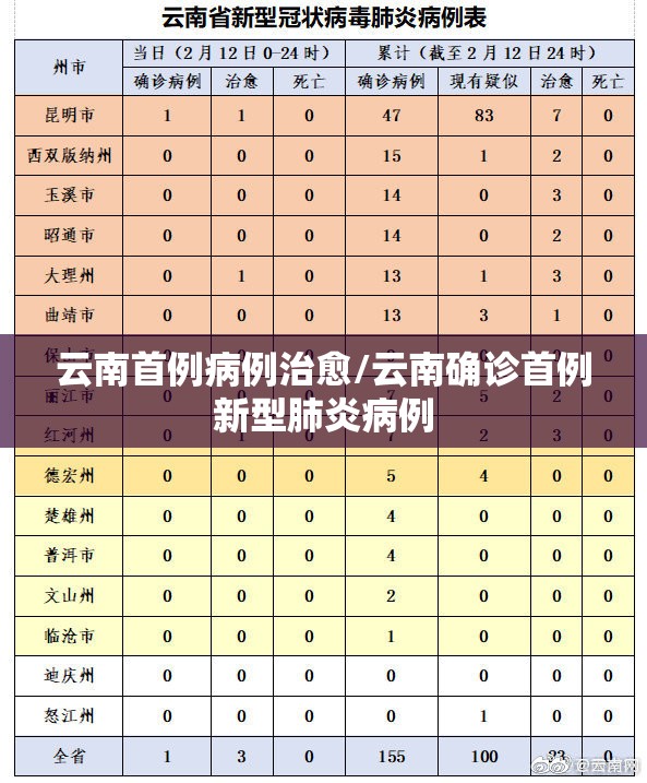 云南首例病例治愈/云南确诊首例新型肺炎病例 云南首例病例治愈/云南确诊首例新型肺炎病例