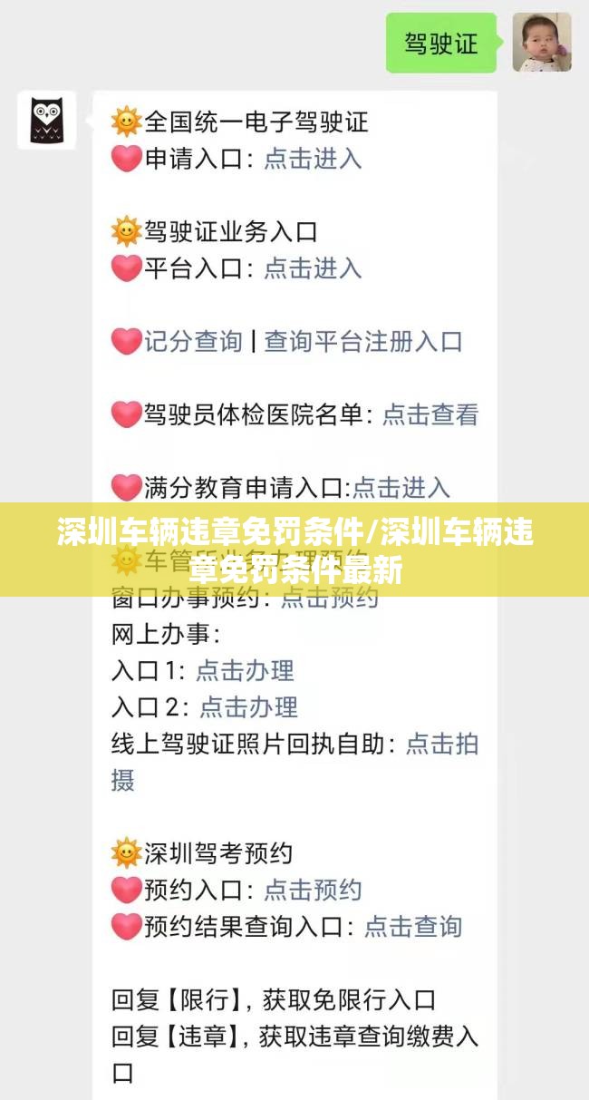 深圳车辆违章免罚条件/深圳车辆违章免罚条件最新 深圳车辆违章免罚条件/深圳车辆违章免罚条件最新