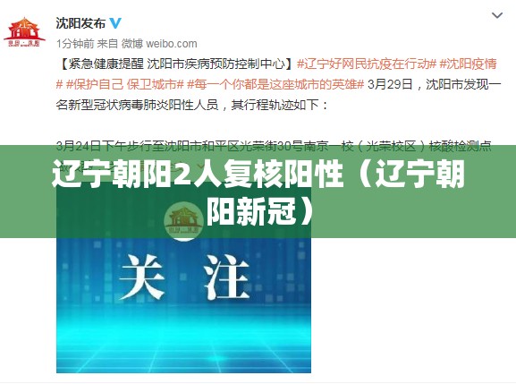 辽宁朝阳2人复核阳性（辽宁朝阳新冠）