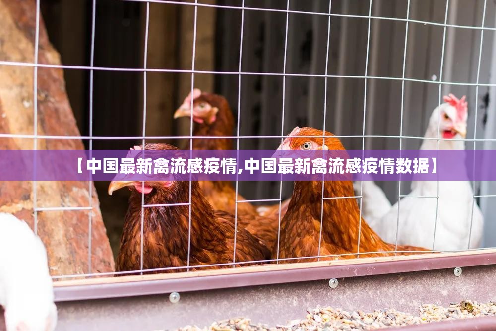 【中国最新禽流感疫情,中国最新禽流感疫情数据】 【中国最新禽流感疫情,中国最新禽流感疫情数据】