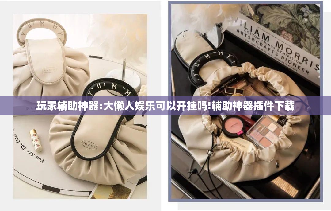 玩家辅助神器:大懒人娱乐可以开挂吗!辅助神器插件下载
