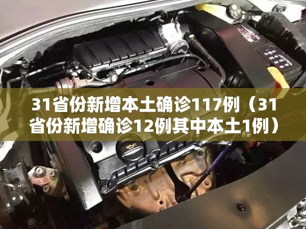31省份新增本土确诊117例（31省份新增确诊12例其中本土1例）