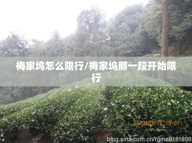 梅家坞怎么限行/梅家坞那一段开始限行