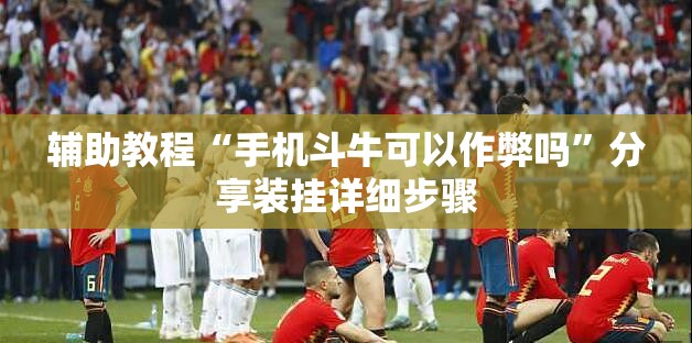 辅助教程“手机斗牛可以作弊吗”分享装挂详细步骤