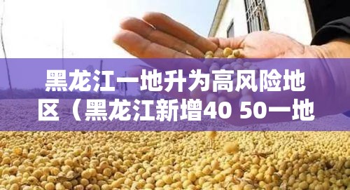 黑龙江一地升为高风险地区（黑龙江新增40 50一地调整为高风险地区）