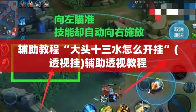 辅助教程“大头十三水怎么开挂	”(透视挂)辅助透视教程