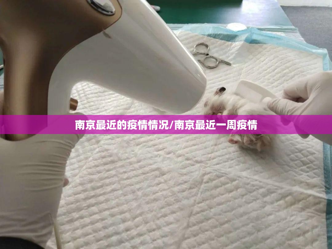 南京最近的疫情情况/南京最近一周疫情 南京最近的疫情情况/南京最近一周疫情