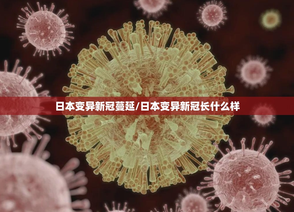 日本变异新冠蔓延/日本变异新冠长什么样 日本变异新冠蔓延/日本变异新冠长什么样