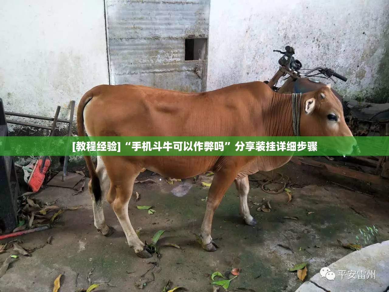 [教程经验]“手机斗牛可以作弊吗”分享装挂详细步骤