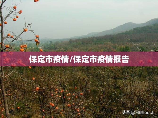 保定市疫情/保定市疫情报告 保定市疫情/保定市疫情报告