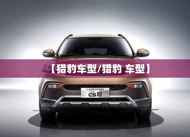 【猎豹车型/猎豹 车型】