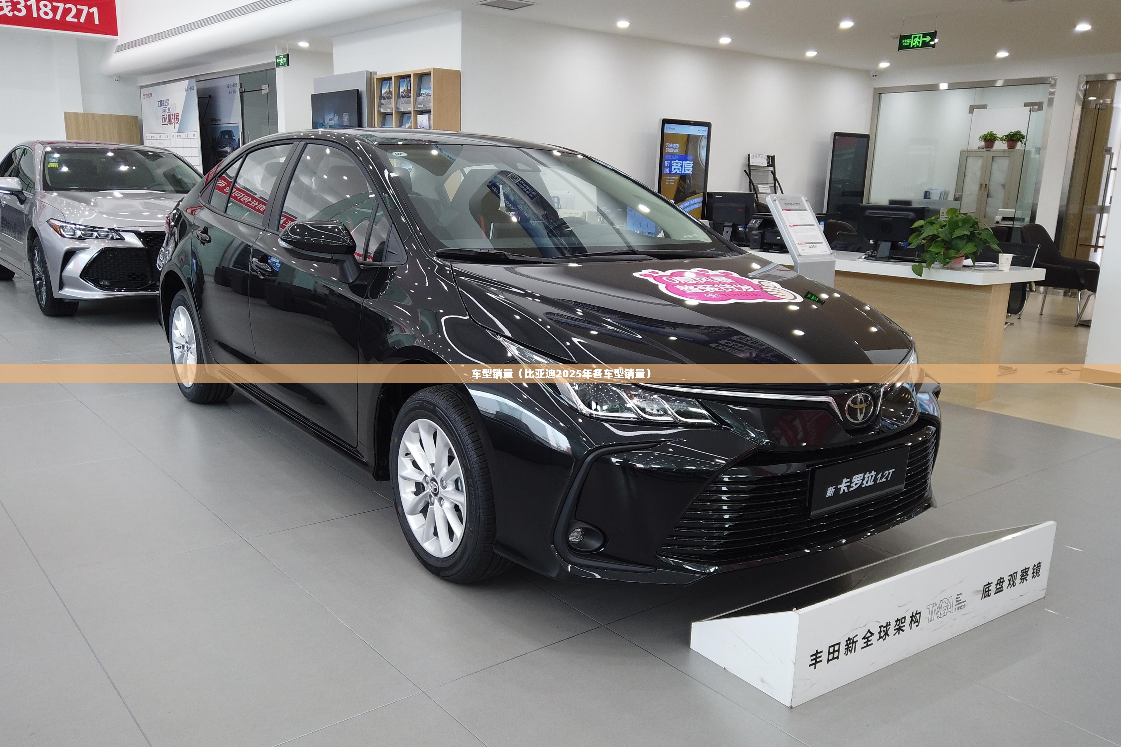 车型销量（比亚迪2025年各车型销量）
