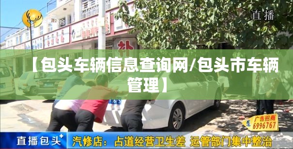 【包头车辆信息查询网/包头市车辆管理】