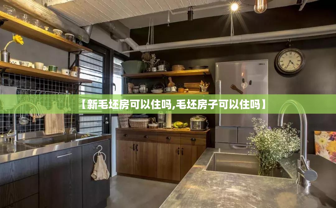 【新毛坯房可以住吗,毛坯房子可以住吗】