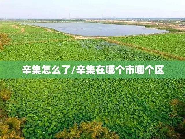 辛集怎么了/辛集在哪个市哪个区 辛集怎么了/辛集在哪个市哪个区