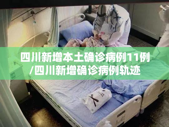 四川新增本土确诊病例11例/四川新增确诊病例轨迹 四川新增本土确诊病例11例/四川新增确诊病例轨迹