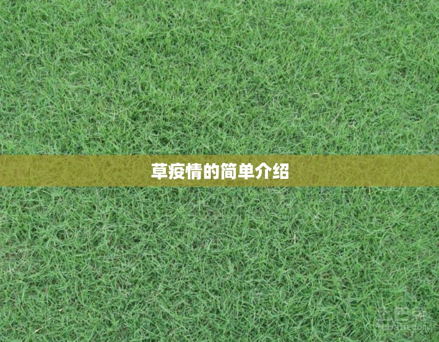 草疫情的简单介绍 草疫情的简单介绍