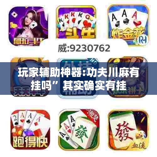 玩家辅助神器:功夫川麻有挂吗	”其实确实有挂
